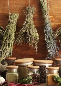Ayurvedic and Western Herbal Medicine